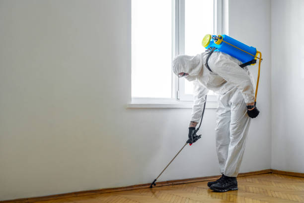 Professional Pest Control in Fair Oaks, GA